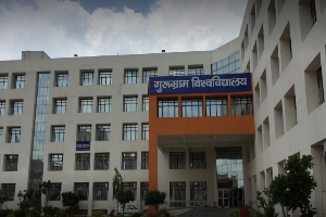 Gurugram University